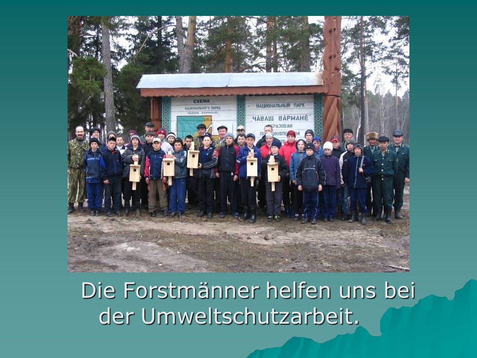 Das Gemüse die Früchte erhöhend die Potenz der Männer
